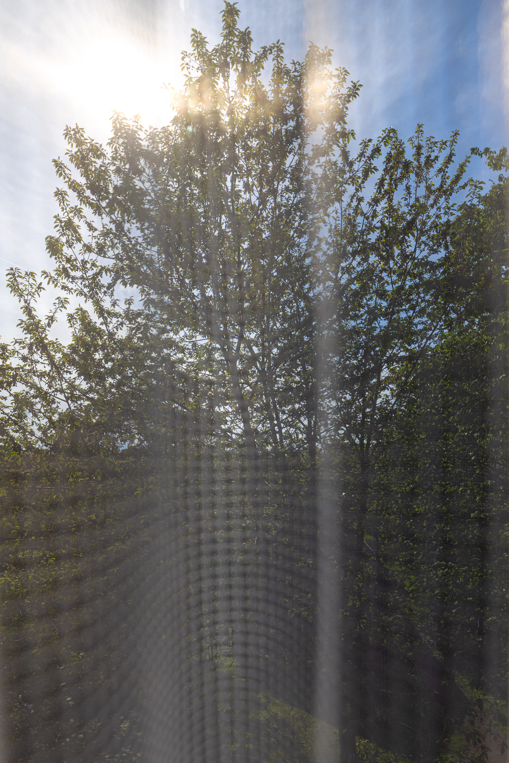 20230506165303 R5D 0776